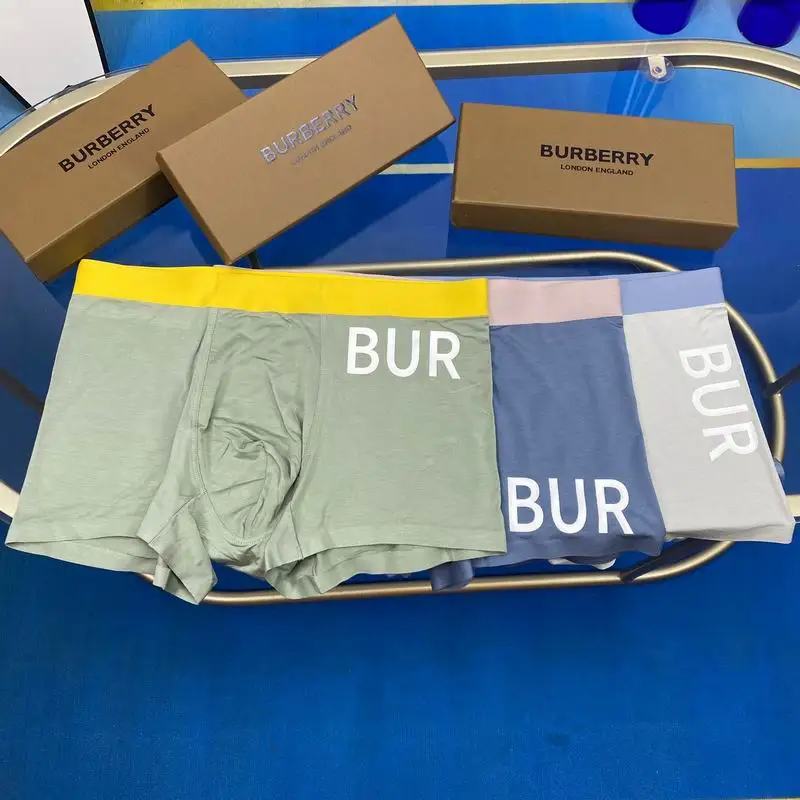 Burberry Boxer 1102