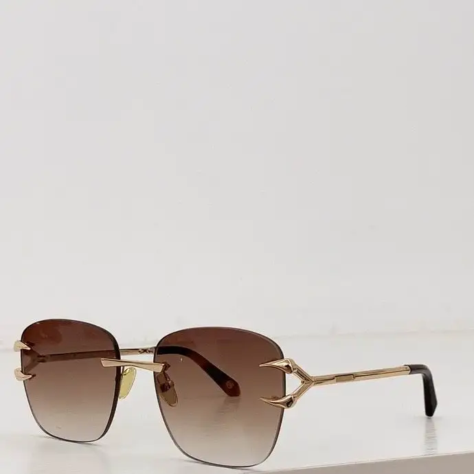 2025 Roberto Cavalli Glasses 0324
