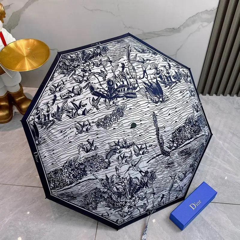 Dior Umbrella 13