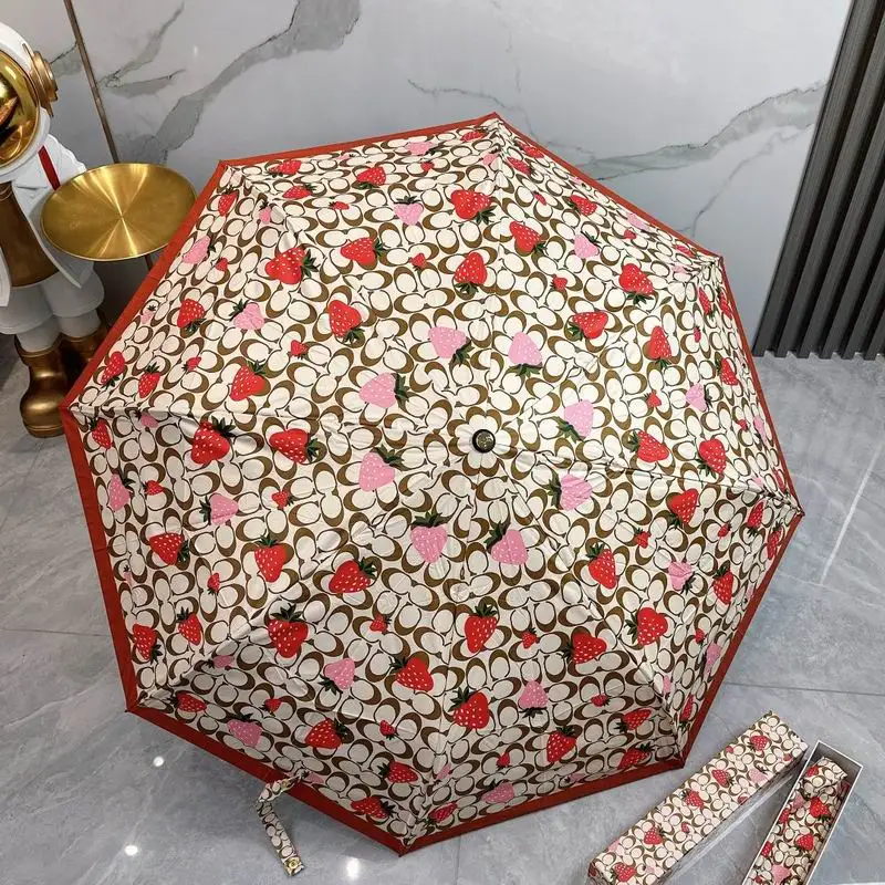 Coach Umbrella 01