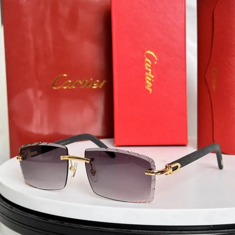 Cartier Glasses smh64