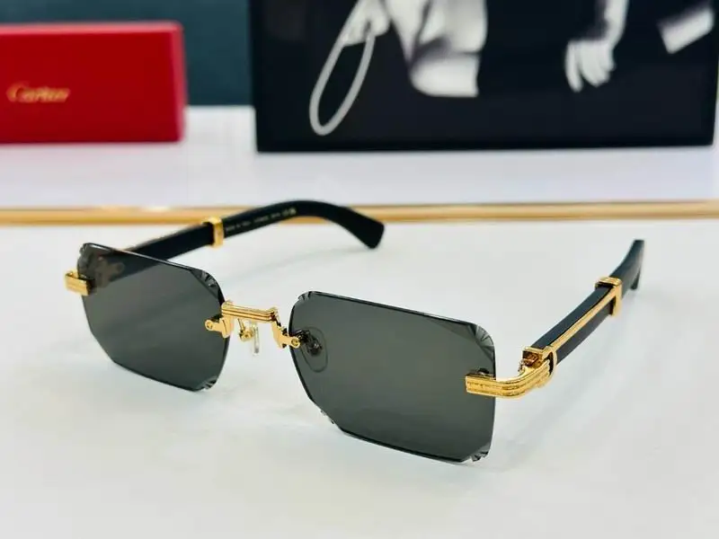 Cartier Glasses smh83