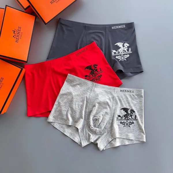 Hermes boxer L-3XL 13gx04