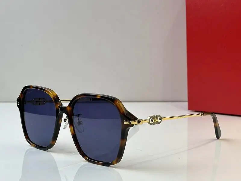 Ferragamo Glasses 03smh17