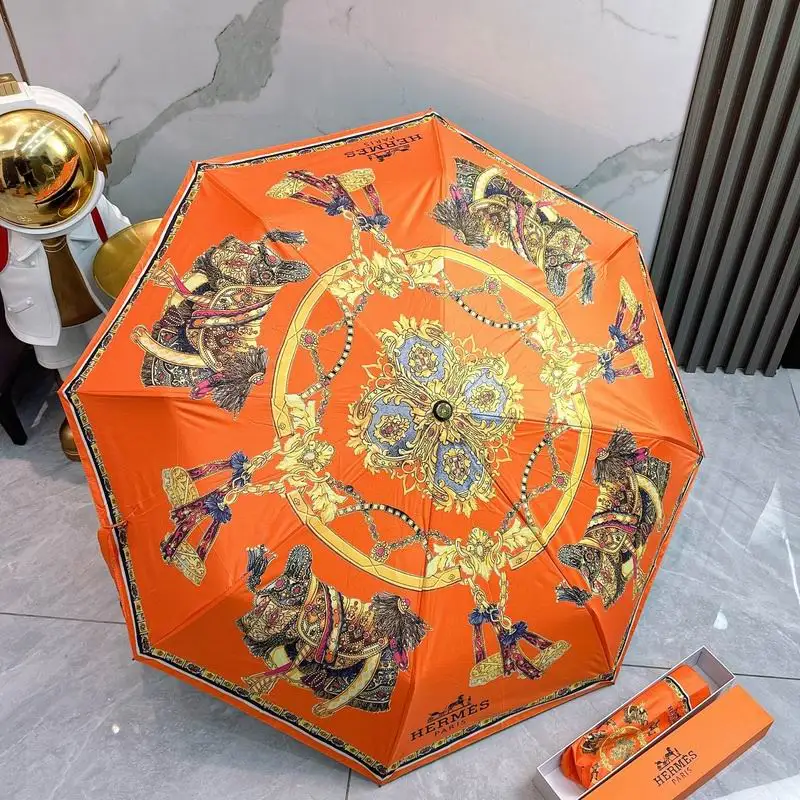 Hermes Umbrella 2-97
