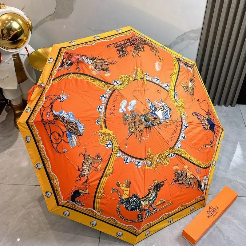 Hermes Umbrella 2-101
