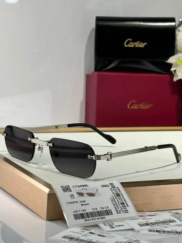 Cartier Glasses 08smh177