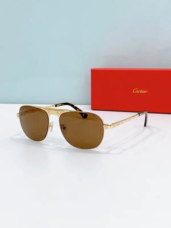 Cartier Glasses smr313