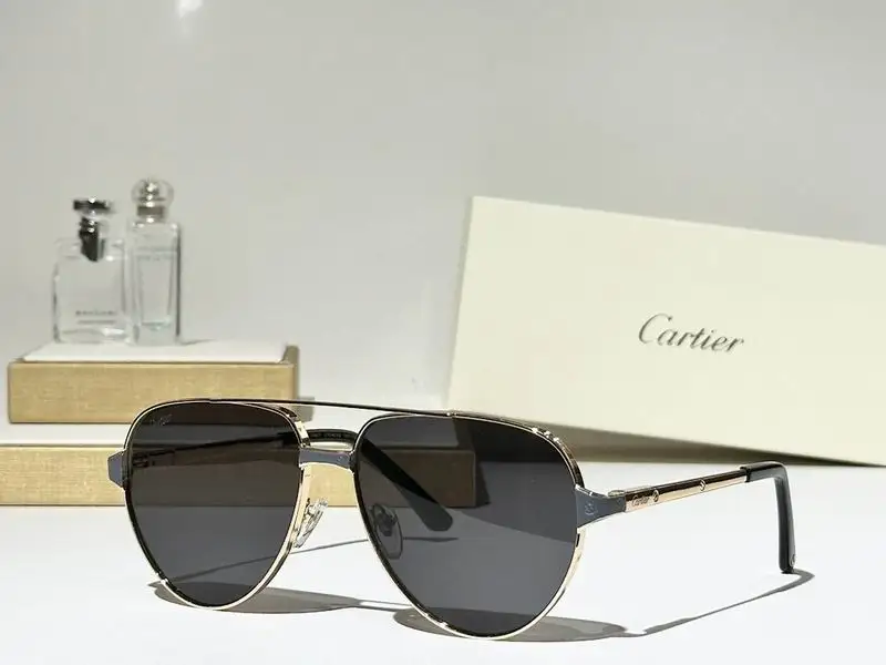Cartier Glasses smr341