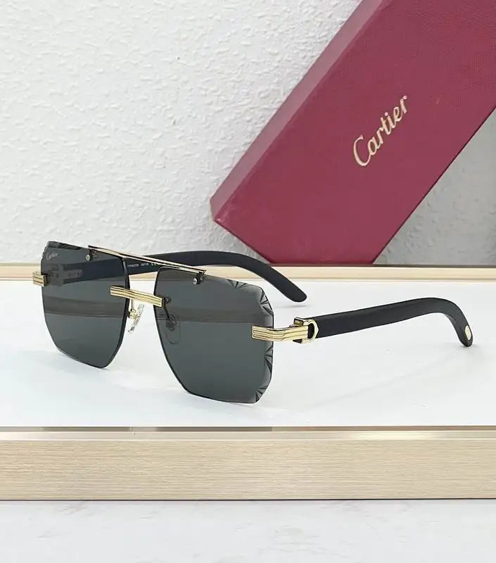Cartier Glasses smr349