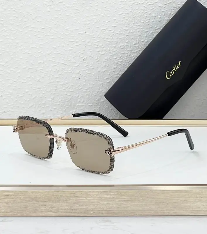 Cartier Glasses smr500