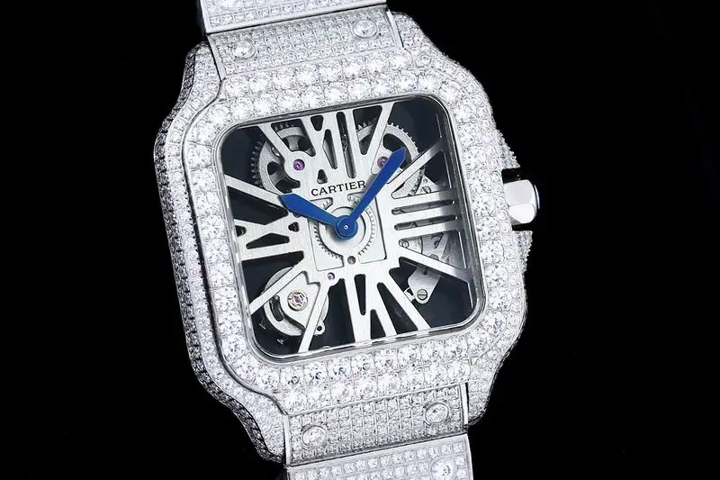 Cartier Watch 032425