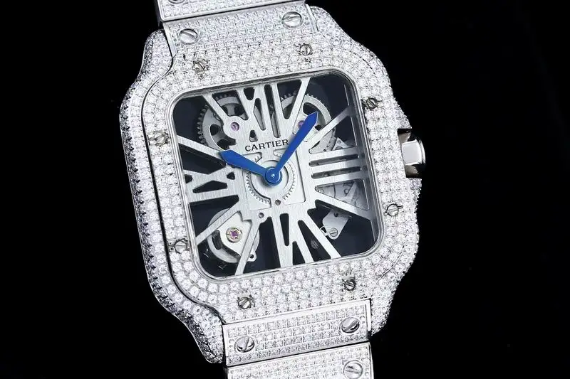 Cartier Watch 032424
